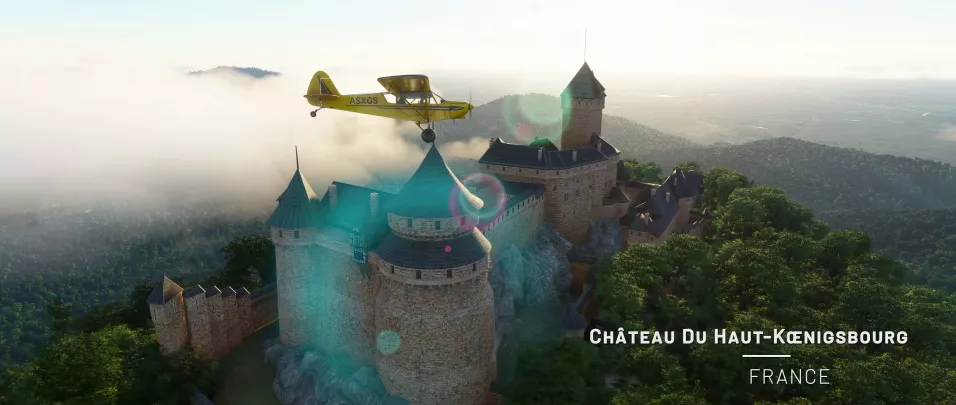 Microsoft Flight Simulator