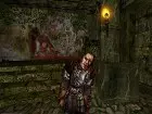 Gothic 2 The night of the Raven - Imagen