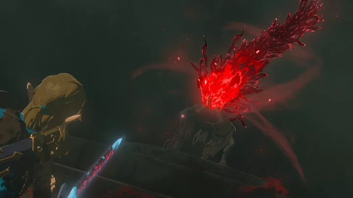 The Legend of Zelda: Tears of the Kingdom