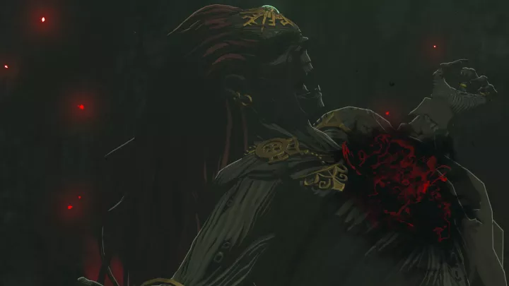 The Legend of Zelda Tears of the Kingdom - Nintendo Switch