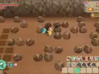 Story of Seasons Friends of Mineral Town - Pantalla