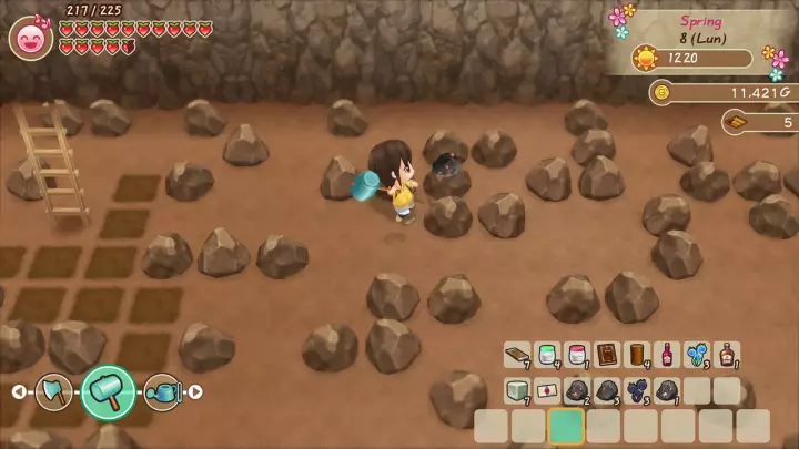 Story of Seasons: Friends of Mineral Town