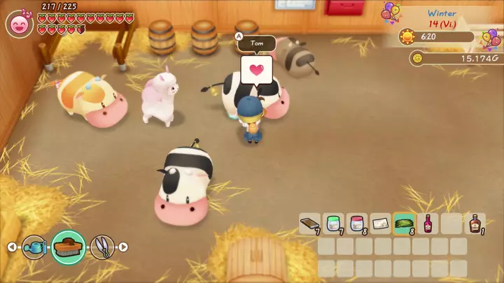Story of Seasons Friends of Mineral Town