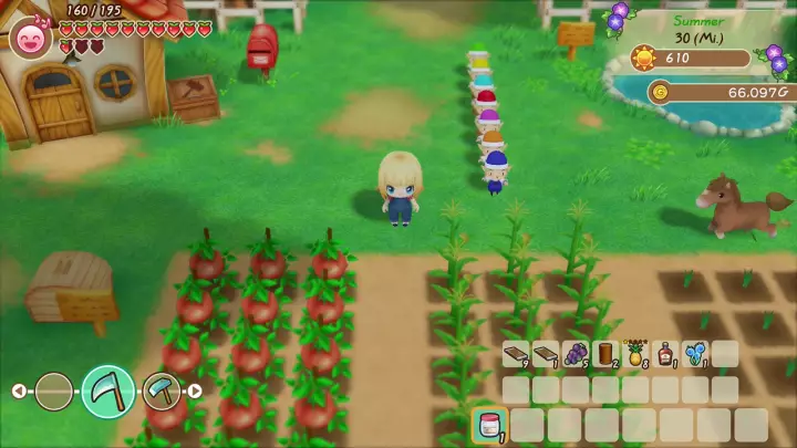 Story of Seasons: Friends of Mineral Town