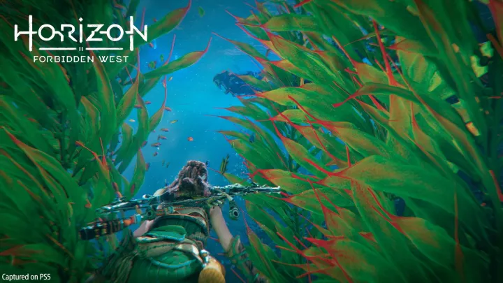 Horizon Forbidden West