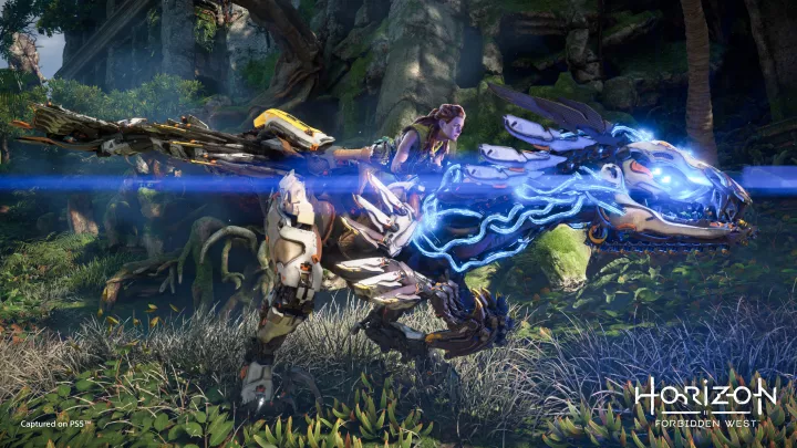 Horizon Forbidden West - PS5