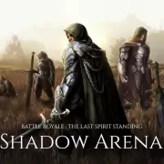 Shadow Arena