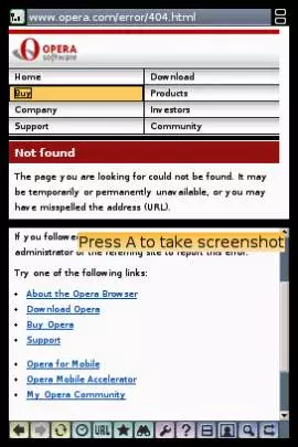 Navegador Nintendo DS