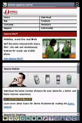 Navegador Nintendo DS - DS