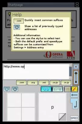 Navegador Nintendo DS