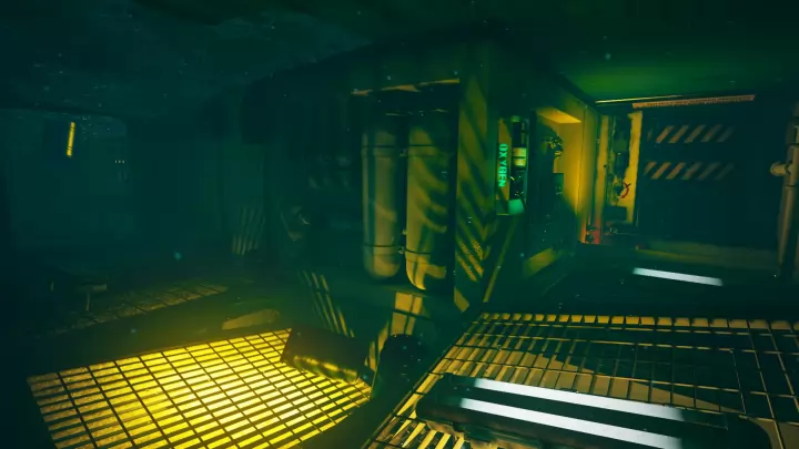 Freediver Triton Down