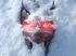 The Witcher 4