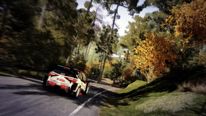 WRC 9 - Nintendo Switch