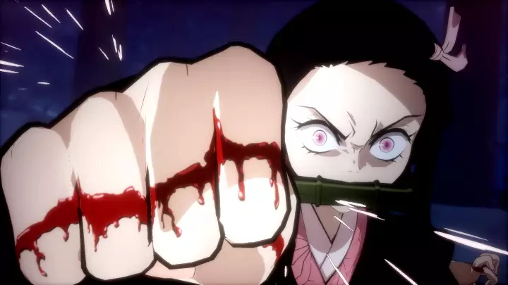 Kimetsu no Yaiba - The Hinokami Chronicles