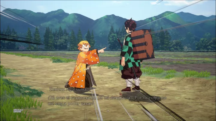 Kimetsu no Yaiba - The Hinokami Chronicles - PS4