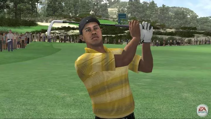 Tiger Woods PGA Tour 07