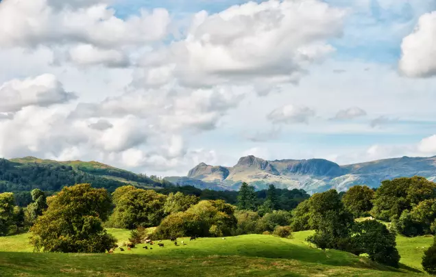 Assassin's Creed Valhalla - PC