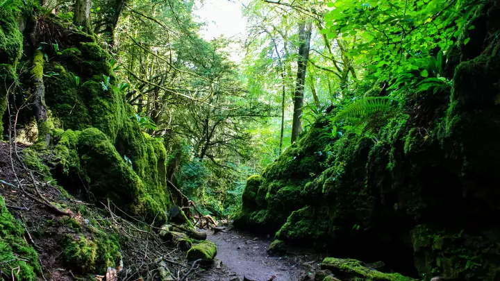 Assassin's Creed Valhalla