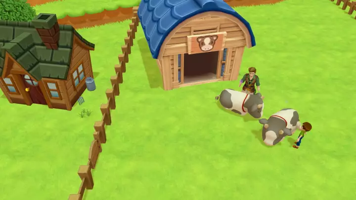 Harvest Moon Un Mundo Único - Nintendo Switch