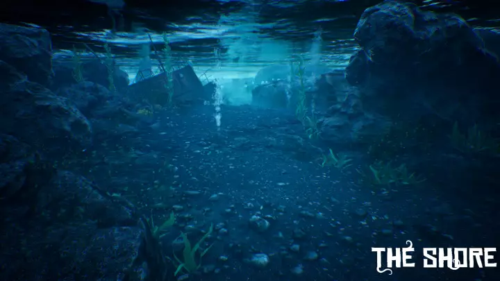 The Shore - PC