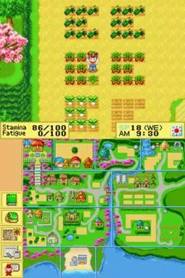 Harvest Moon DS - DS