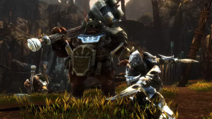 Kingdoms of Amalur Re-Reckoning - PC