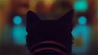 Stray, juego en el que encarnaremos a un gato en un ambiente futurista, muestra nuevos detalles