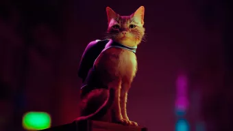 Con un gato de protagonista, Stray de PS5, PS4 y PC reaparece con nuevo gameplay y detalles