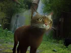 Puedes jugar a Stray con tu propio gato como protagonista gracias a una modder