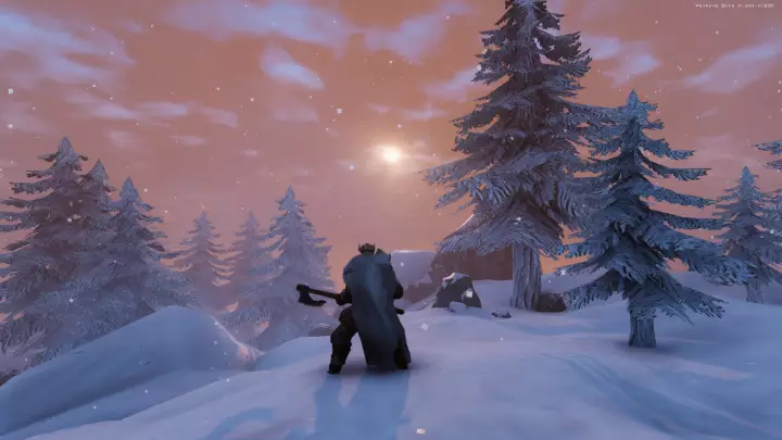 Valheim - PC