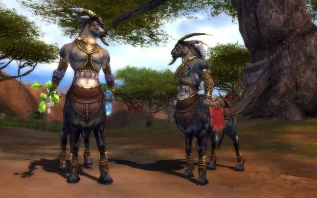 Guild Wars Nightfall - PC