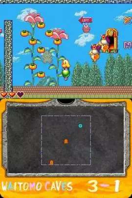 New Zealand Story Revolution