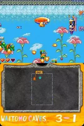 New Zealand Story Revolution - DS