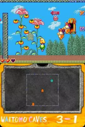 New Zealand Story Revolution - DS