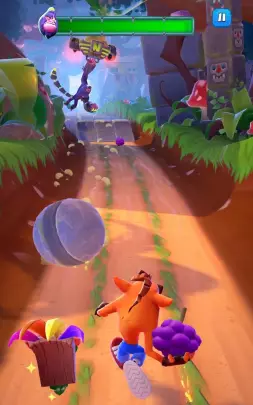 Crash Bandicoot On the Run!