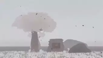 Tráiler de Inner Ashes, una aventura protagonizada por un guardia forestal diagnosticado con alzheimer precoz,