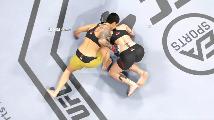 UFC 4
