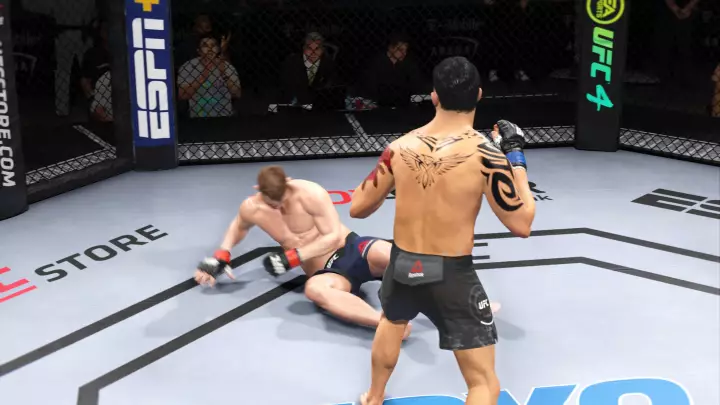 UFC 4
