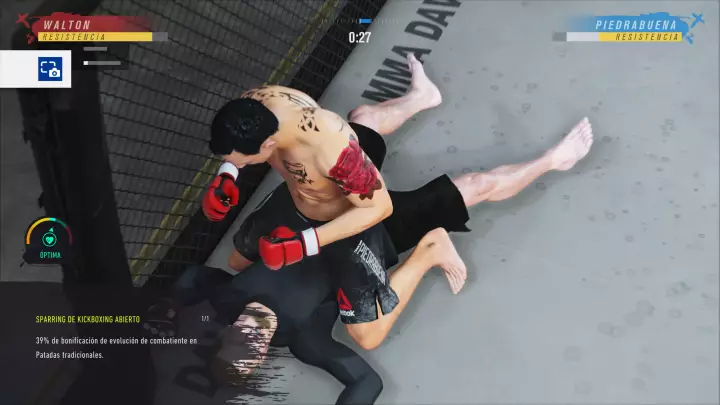 UFC 4