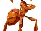 The Ant Bully - Imagen