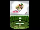 Tingle's Rosy Rupeeland - Imagen DS