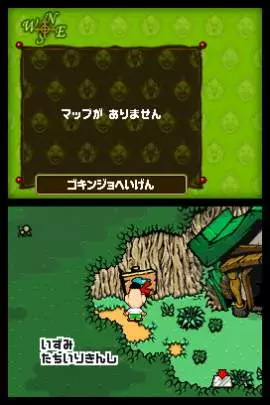 Tingle's Rosy Rupeeland