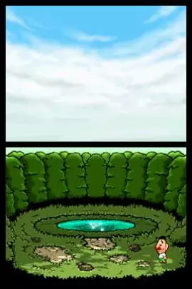 Tingle's Rosy Rupeeland