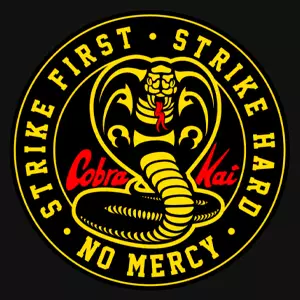 Cobra Kai: The Karate Kid Saga Continues Análisis