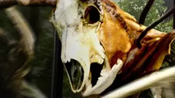 Anunciado The Witcher Monster Slayer, un juego a lo Pokémon GO en el que cazaremos bestias y criaturas