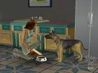 Los Sims 2 Mascotas - Pantalla
