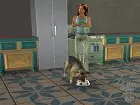 Los Sims 2 Mascotas - Pantalla