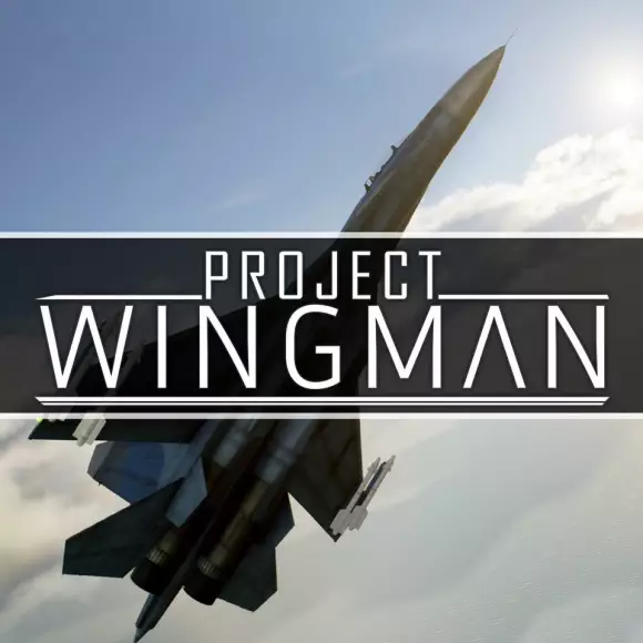 Carátula de Project Wingman