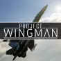 Project Wingman PC