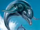Ecco the Dolphin